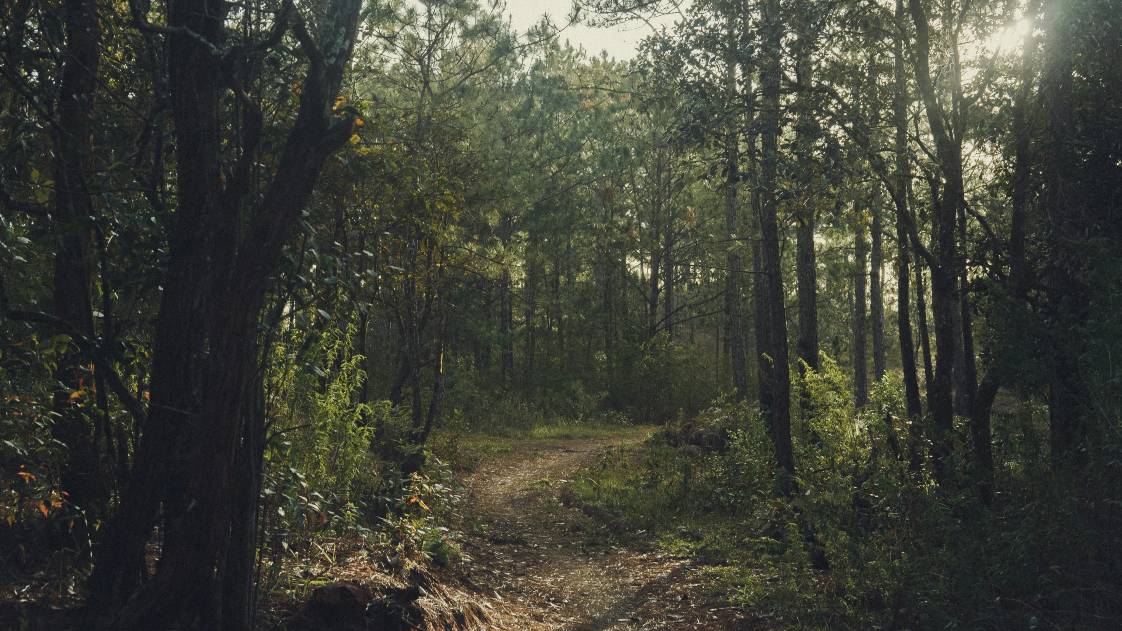 Prestations de sophrologie et coaching